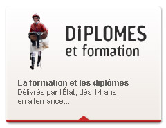 Formations courses hippiques AFASEC