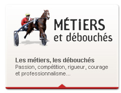 Métiers cheval, courses hippiques, AFASEC