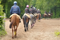 Phototheque AFASEC <p class=