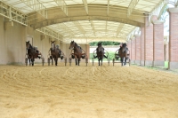 Phototheque AFASEC <p class=