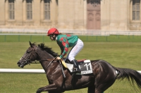 Phototheque AFASEC <p class=