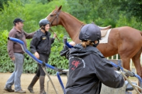 Phototheque AFASEC <p class=