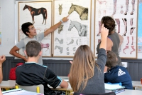 Phototheque AFASEC <p class=